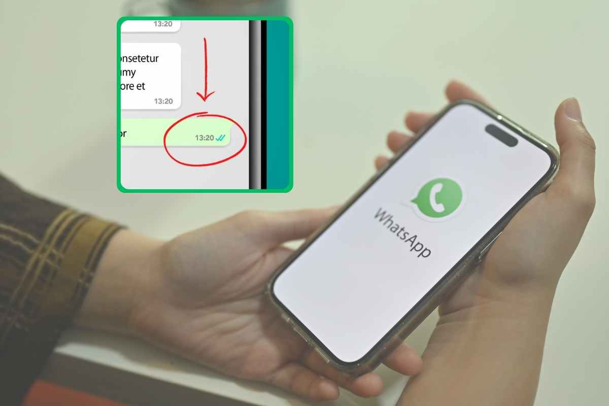 Spunte su Whatsapp, ora hanno un nuovo significato