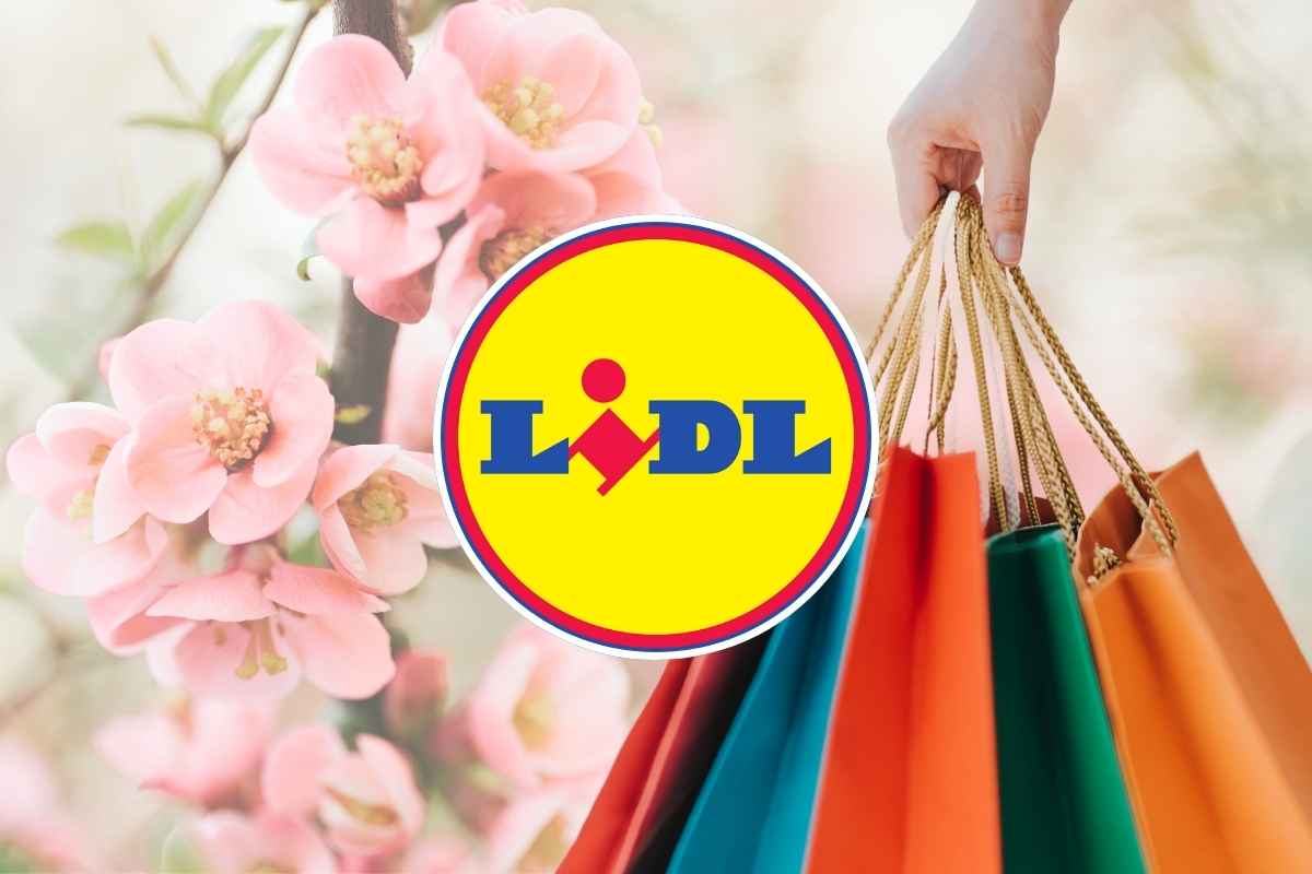 Lidl, scatta il super sconto di Primavera