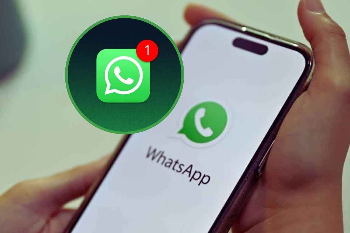 Whatsapp, dopo l'aggiornamento i tuoi contatti ricevono una notifica