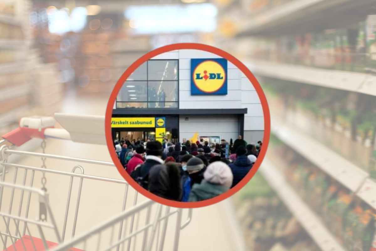 Lidl lo sta regalando: il condizionatore portatile a 15 euro