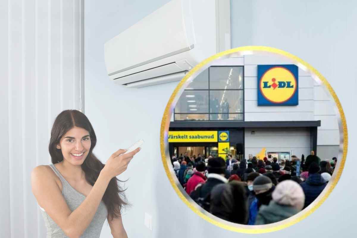 Lidl risolve il problema dell'estate ad un prezzo folle