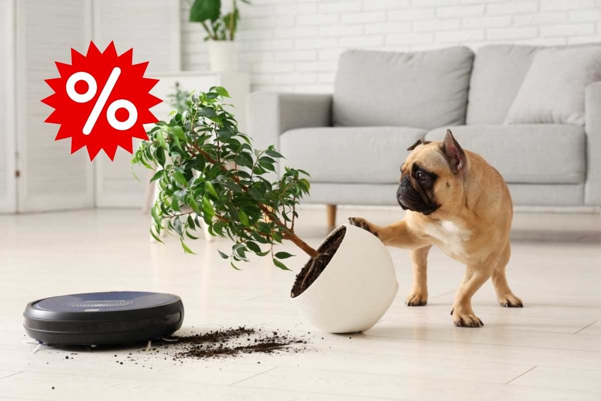 robot aspirapolvere in offerta Prime Day