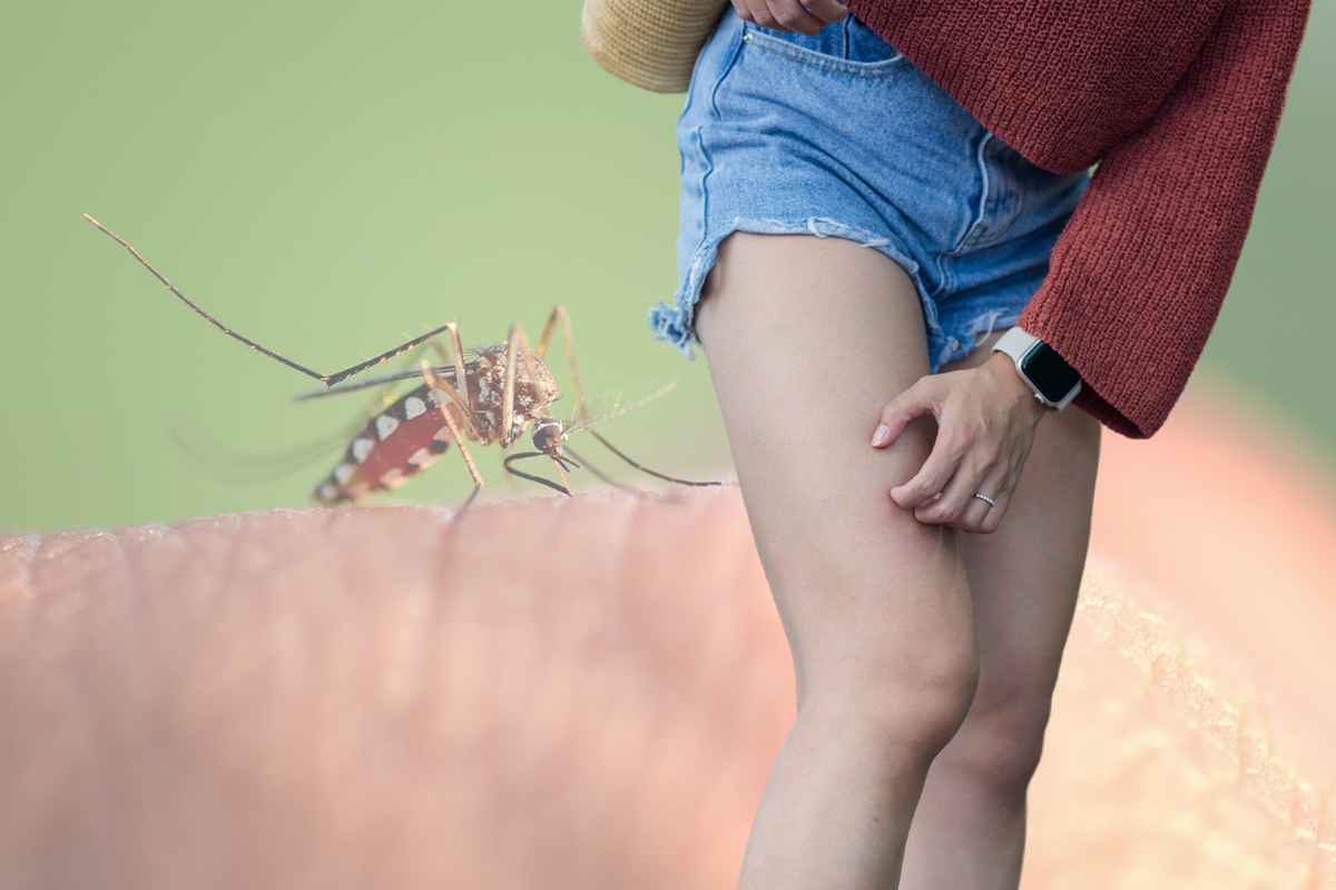 Addio dolore e prurito dopo le punture