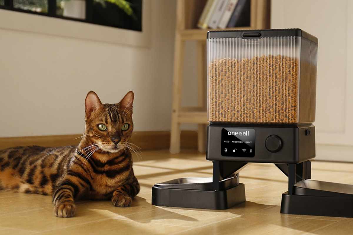 OneIsAll distributore di cibo per gatti smart