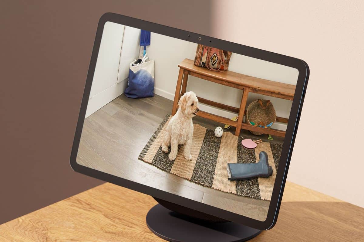 nuovi Echo by Amazon