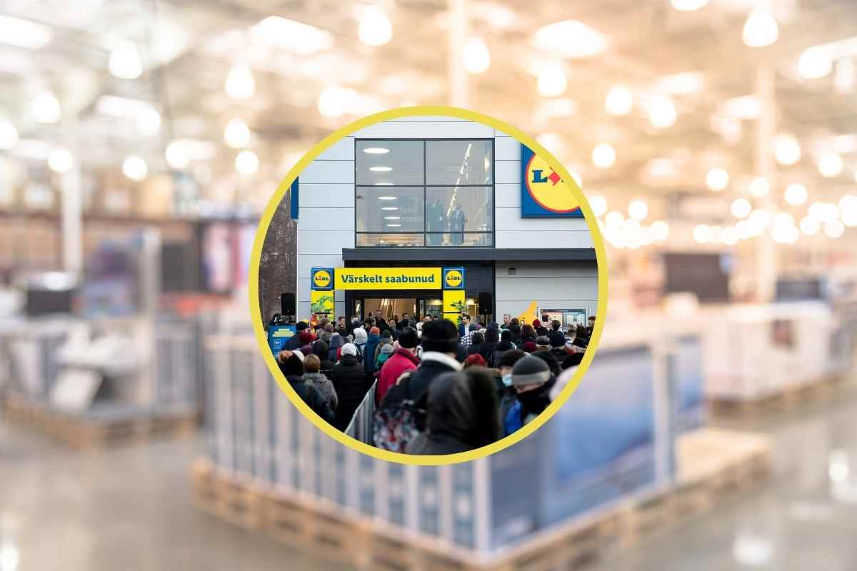 indispensabile in cucina a un prezzo mai visto prima