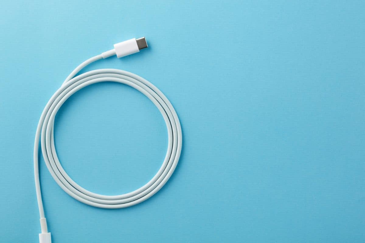 caricabatterie unico UE