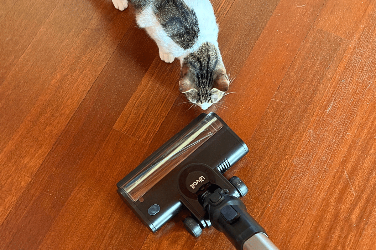 Aspirapolvere leggera per animali con luce LED