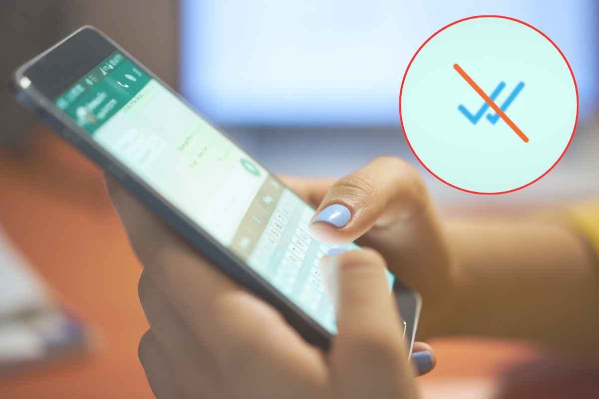 Cambia il significato delle spunte WhatsApp